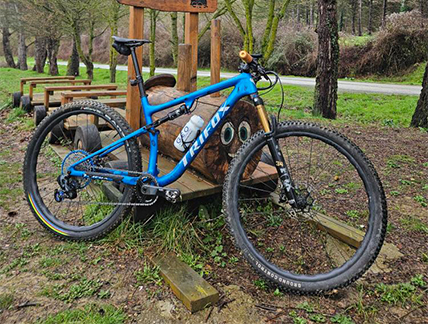 Holiday Shipping Deadlines