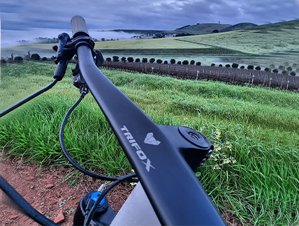 Holiday Shipping Deadlines