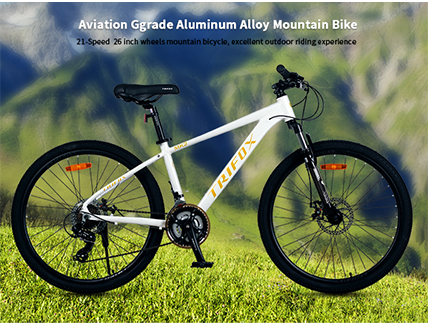 Holiday Shipping Deadlines