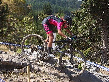 Holiday Shipping Deadlines