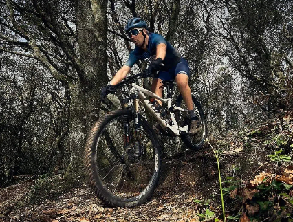 Holiday Shipping Deadlines