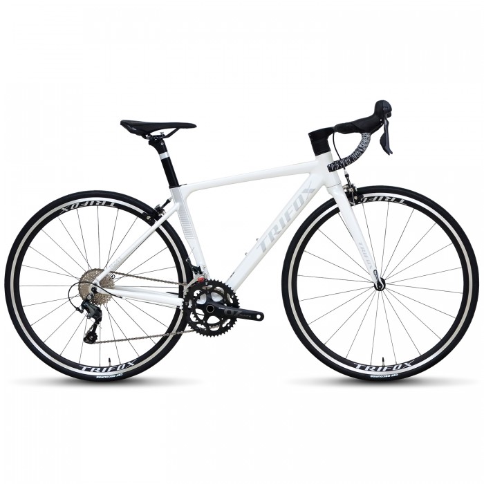 FUJI (USA) 2×10速　ティアグラ4700 軽量ロードバイク FUJI （USA)2×10速 ティアグラ4700 軽量ロードバイク（BALLAD R
