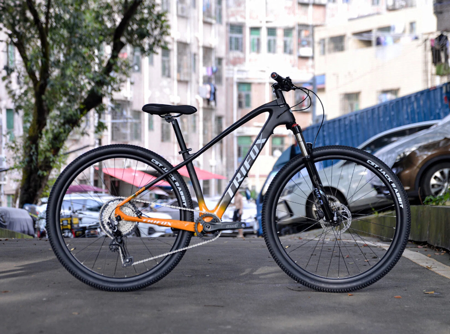 Trifox M2 Carbon Hardtail Mountain Bike