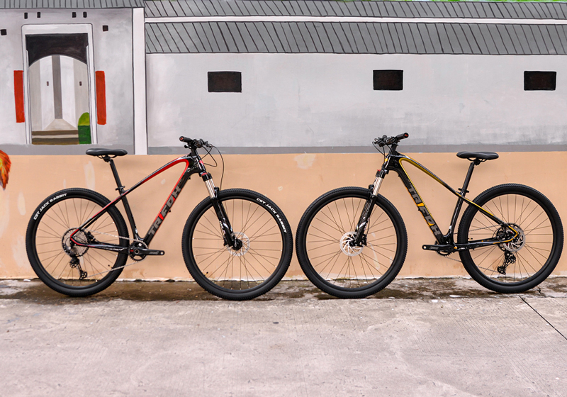 carbon hardtail 29er for sale