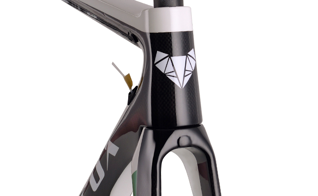TRIFOX t800 carbon fiber bike Frame x10
