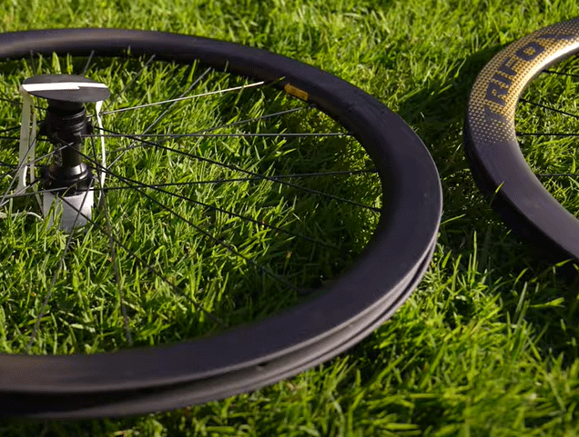 freehub and freewheel