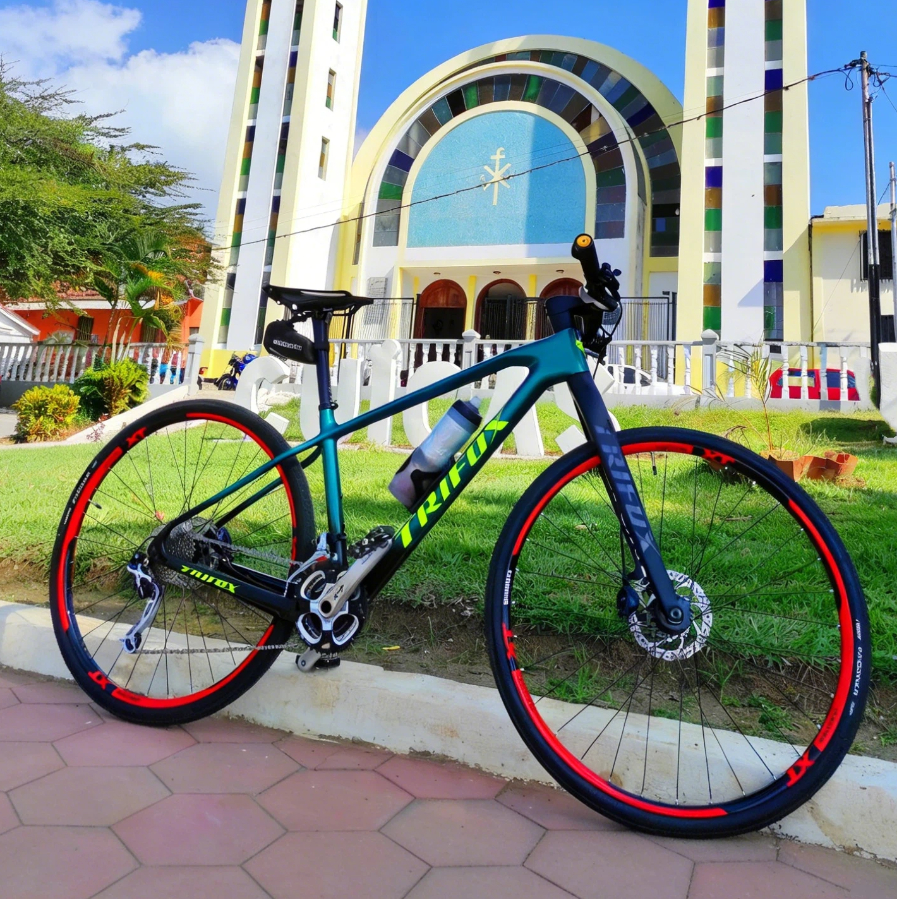 Trifox SDY21 Carbon Hardtail MTB Frame with Boost, QR, and TA options