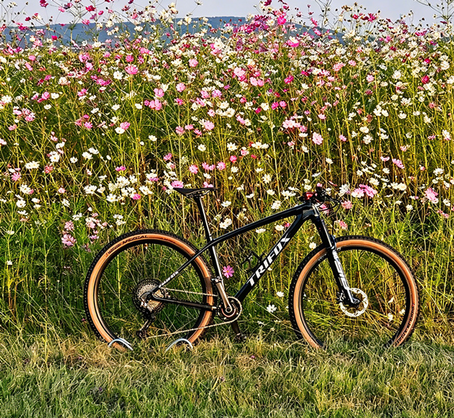 best 29er hardtail frame