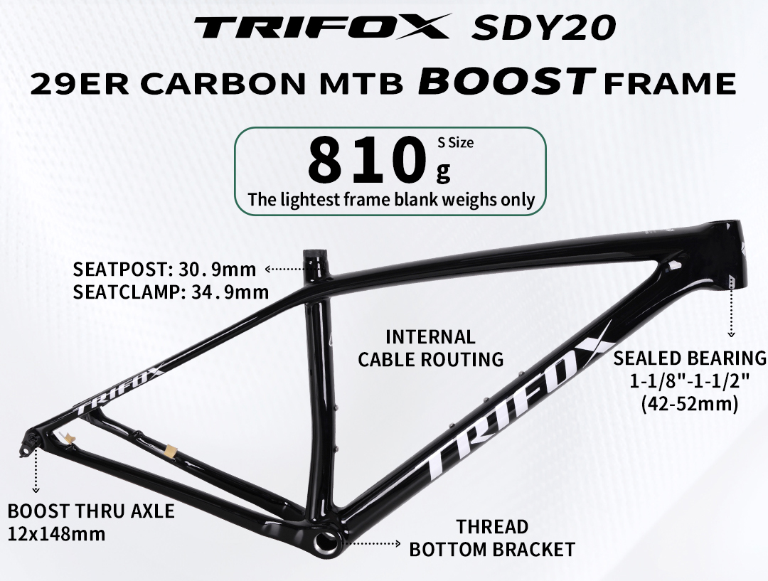 Lightest 29er Carbon Frame