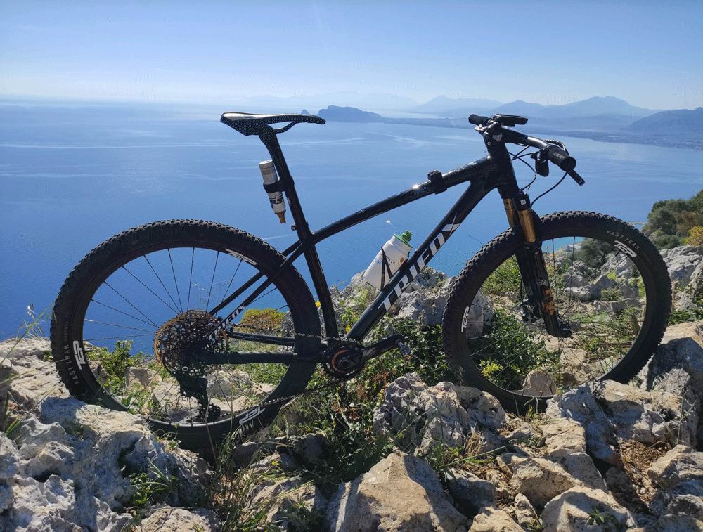 29er mountain bike frame