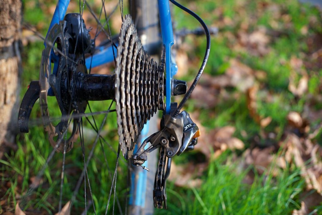 bicycle freewheel